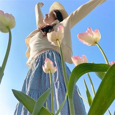 逆天奇案2国语